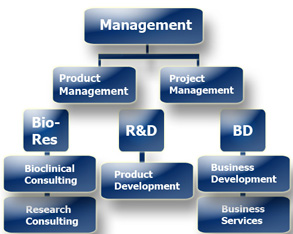 organizational chart